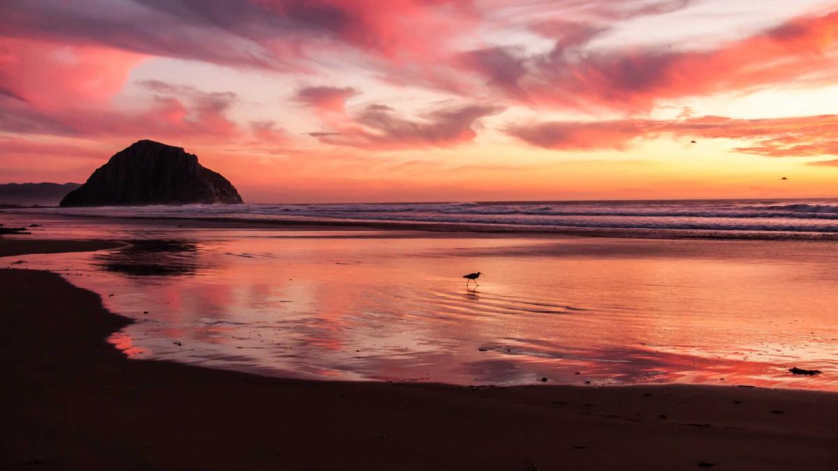 Çok Lokasyonlu Mağaza Zincirinin Yerel SEO Başarısı